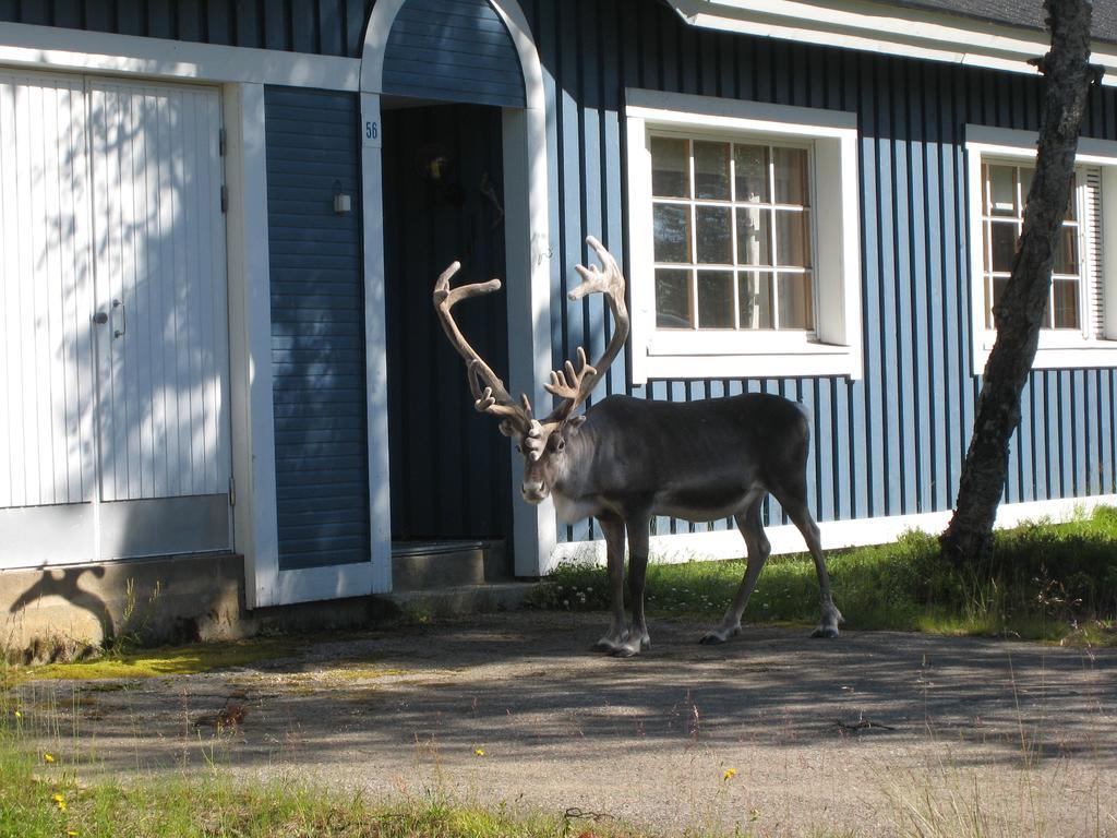 Saariselaen Marjamajat Villa Saariselka Luaran gambar